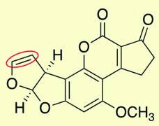 食物中黄曲霉毒素从何而来？