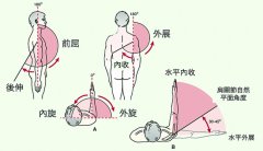 肩袖肌群损伤物理治疗