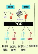 新冠检测类型大不同