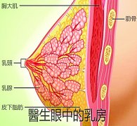 乳房保健五招式