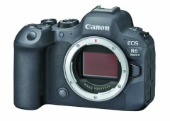 Canon EOS R6 Mark II 每秒40张连拍 谁能比拼？